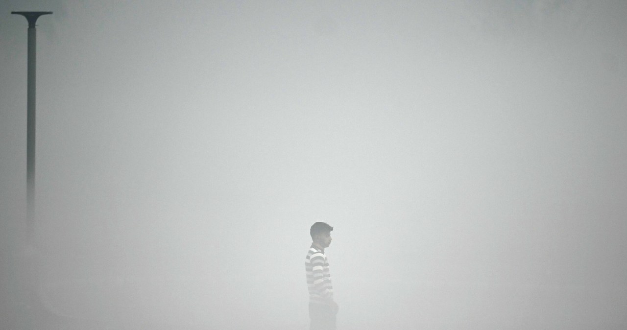 New Delhi jest najbardziej zanieczyszczonym miastem świata. /MONEY SHARMA / AFP /East News