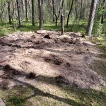 News RMF FM: Wiemy, czym jest "zguba" w lesie pod Bydgoszczą 
