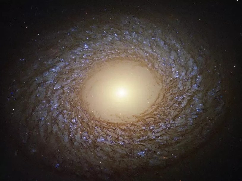 NGC 2775 /materiały prasowe