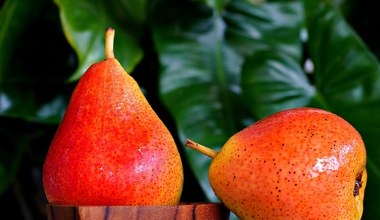 Ні цибуля, ні імбир. З цього соковитого фрукта можна приготувати найкращий сироп від кашлю 