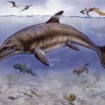 Ni to ryba, ni jaszczur. Niezwykłe znalezisko na Kubie. Takiego nie było