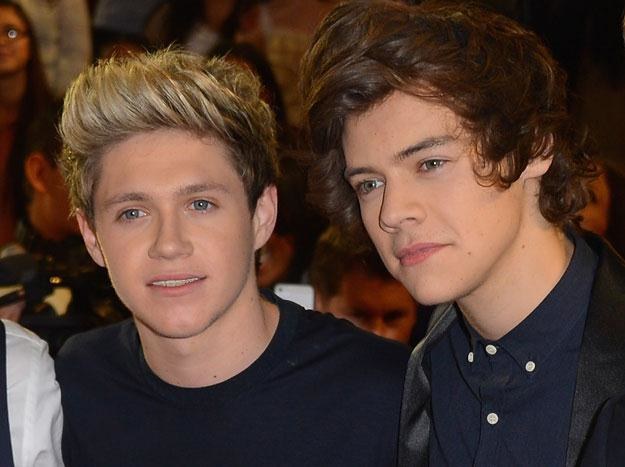 Niall Horan i Harry Styles: Idealni kandydaci na mężów? fot. Frazer Harrison /Getty Images/Flash Press Media