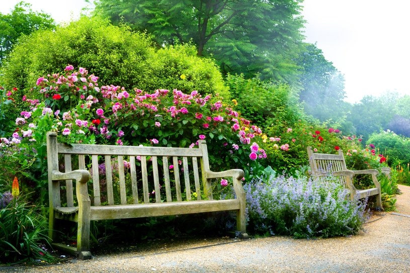 Niby zwykła ławka w parku. Usiądź na niej, a zaczną dziać się niezwykłe rzeczy. /123RF/PICSEL