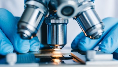 Nicień ożywiony po 46 tys. lat. Leżał w wiecznej zmarzlinie na Syberii