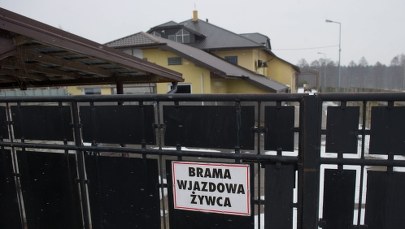 Nie badali mięsa przed ubojem. Weterynarze z zarzutami