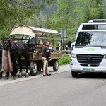 Nie będzie elektrycznych busów do Morskiego Oka. Sprzeciw samorządów