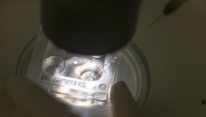 Nie będzie finansowania in vitro z budżetu Krakowa