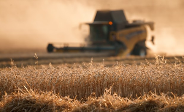 Nie będzie kary dla Polski za embargo na zboże z Ukrainy