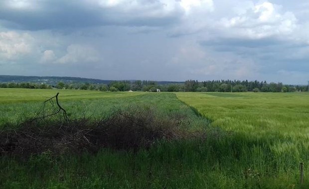 Nie będzie oczyszczania skażonej ziemi w Krakowie. Urzędnicy się nie zgodzili