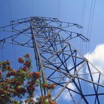 Nie będzie podwyżek cen prądu od nowego roku