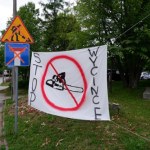 Bielsko-Biała Nie będzie wycinki 500 drzew. Budowa 12 wieżowców i 10 hoteli wstrzymana