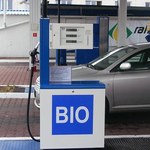 Nie chcemy biopaliw?
