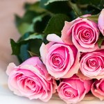 Nie daj swoim różom zwiędnąć! Jak cieszyć się walentynkowym bukietem dłużej?