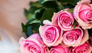 Nie daj swoim różom zwiędnąć! Jak cieszyć się walentynkowym bukietem dłużej?