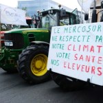 "Nie dla Mercosur". Polscy rolnicy protestują w Brukseli