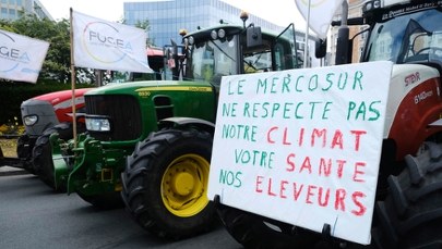 "Nie dla Mercosur". Polscy rolnicy protestują w Brukseli