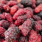 Nie doceniamy ani kwiatów, ani owoców. Dla seniora i cukrzyka są idealne, zwłaszcza na serce