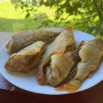 Nie doceniamy tej ryby, a smakuje wybornie. Ma delikatny smak, dużo białka i mało tłuszczu