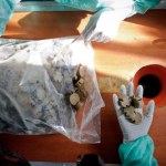 "Nie dotykaj". Alert RCB dla mieszkańców jednego województwa