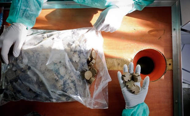 "Nie dotykaj". Alert RCB dla mieszkańców jednego województwa