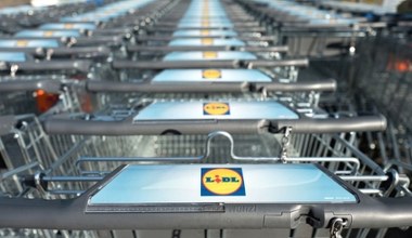 Nie idź, biegnij do Lidla! Te perfumy od Nike znikają z półek błyskawicznie