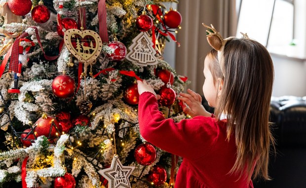 Nie każda choinka jest zdrowa! Poznaj sekrety świątecznych drzewek i wybierz mądrze