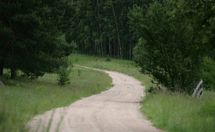 Nie każdą lesną drogą można pojechać, nawet jeśli nie ma zakazu! /agnieszka sadowska /Informacja prasowa