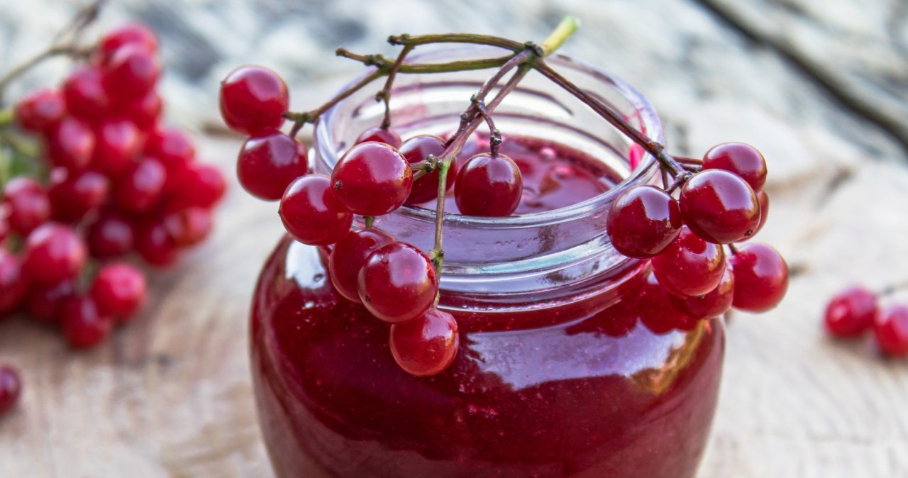 Nie każdy wie, jakie właściwości mają owoce tego krzewu /margo7999 /123RF/PICSEL