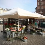"Nie ma dla nas przyszłości". Krakowskie kwiaciarki znikną z Rynku Głównego? 