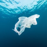 Nie ma już czystych miejsc. Najczystsze obszary na świecie są skażone