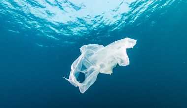 Nie ma już czystych miejsc. Najczystsze obszary na świecie są skażone