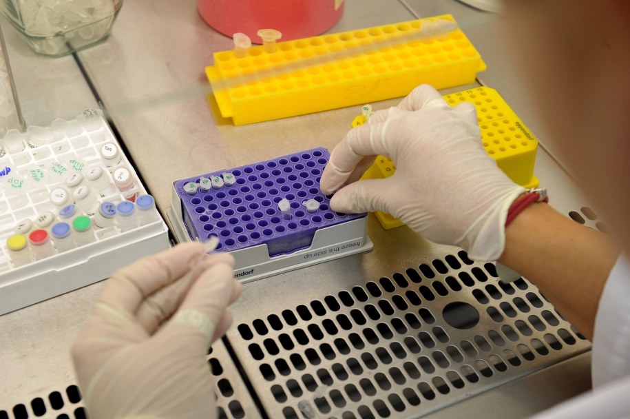 Nie ma powodów do niepokoju - przyznają inspektorzy Wojewódzkiej Stacji Sanitarno-Epidemiologicznej w Gdańsku /PAP