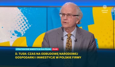 "Nie ma zbyt wiele mleka i miodu". Były minister finansów o polskiej gospodarce