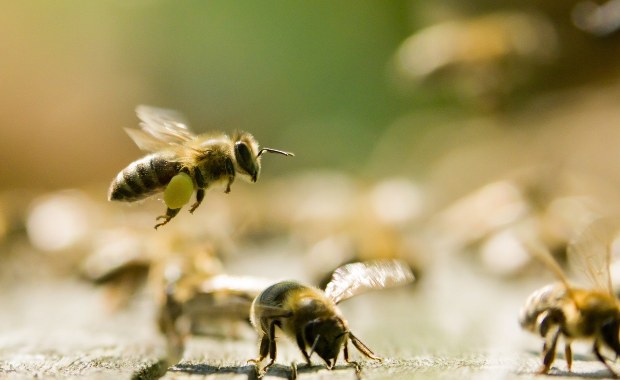 Nie możemy dopuścić do ekologicznej apokalipsy, takiej jak w Niemczech czy we Francji 