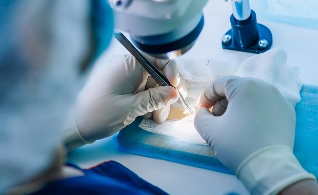 Nie można określić przyczyny śmierci. Nowe informacje w sprawie szczątków z Rudnej