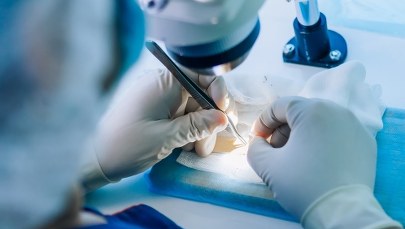 Nie można określić przyczyny śmierci. Nowe informacje w sprawie szczątków z Rudnej