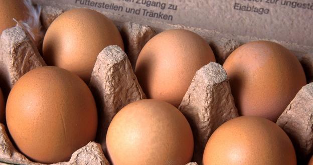 Nie można stwierdzić, że nieoznakowane jaja zatrzymane w Bułgarii pochodzą z Polski /&copy; Bauer
