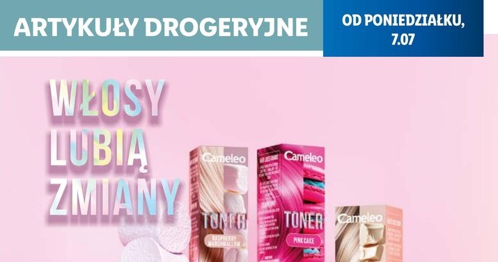 Nie musisz iść do fryzjera! Lidl kusi domową koloryzacją za niecałe 10 zł! /Lidl /INTERIA.PL