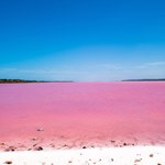 Nie musisz lecieć do Australii, by zobaczyć różowe jezioro. Podobne jest znacznie bliżej 