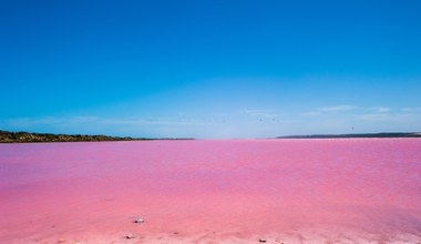 Nie musisz lecieć do Australii, by zobaczyć różowe jezioro. Podobne jest znacznie bliżej 