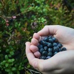 Nie myłeś? Nie jedz! To grozi śmiertelną chorobą