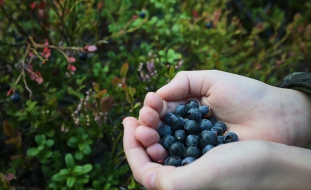 Nie myłeś? Nie jedz! To grozi śmiertelną chorobą