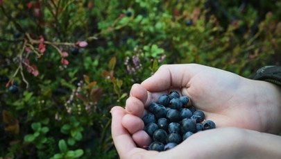 Nie myłeś? Nie jedz! To grozi śmiertelną chorobą