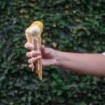 Nie odkładaj na później. Grozi zatruciem!