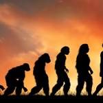 Nie pochodzimy od małpy i nie przetrwa najsilniejszy. Ewolucja człowieka trwa