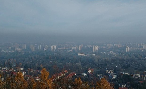 Nie politycy, a krakowscy przedsiębiorcy powalczą ze smogiem!