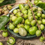 Nie potrzebujesz egzotyki! Mini kiwi z Polski dostępne w Kauflandzie!