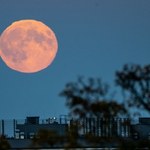 Nie przegap okazji i spójrz w niebo. Zaskoczy cię wyjątkowe zjawisko