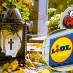 Nie przepłacaj za znicze! Lidl i Biedronka kuszą ofertami specjalnymi przed 1 listopada
