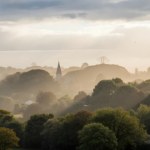 Nie przesadza się starych drzew. Ludzie są dzięki nim zdrowsi